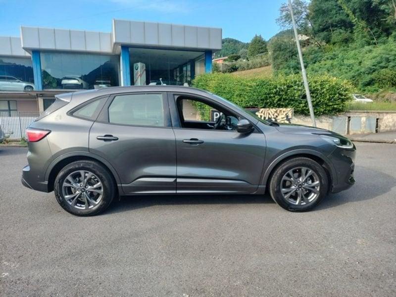 Ford Kuga Kuga 1.5 EcoBlue 120 CV 2WD ST-Line
