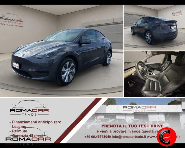 TESLA Model Y RWD