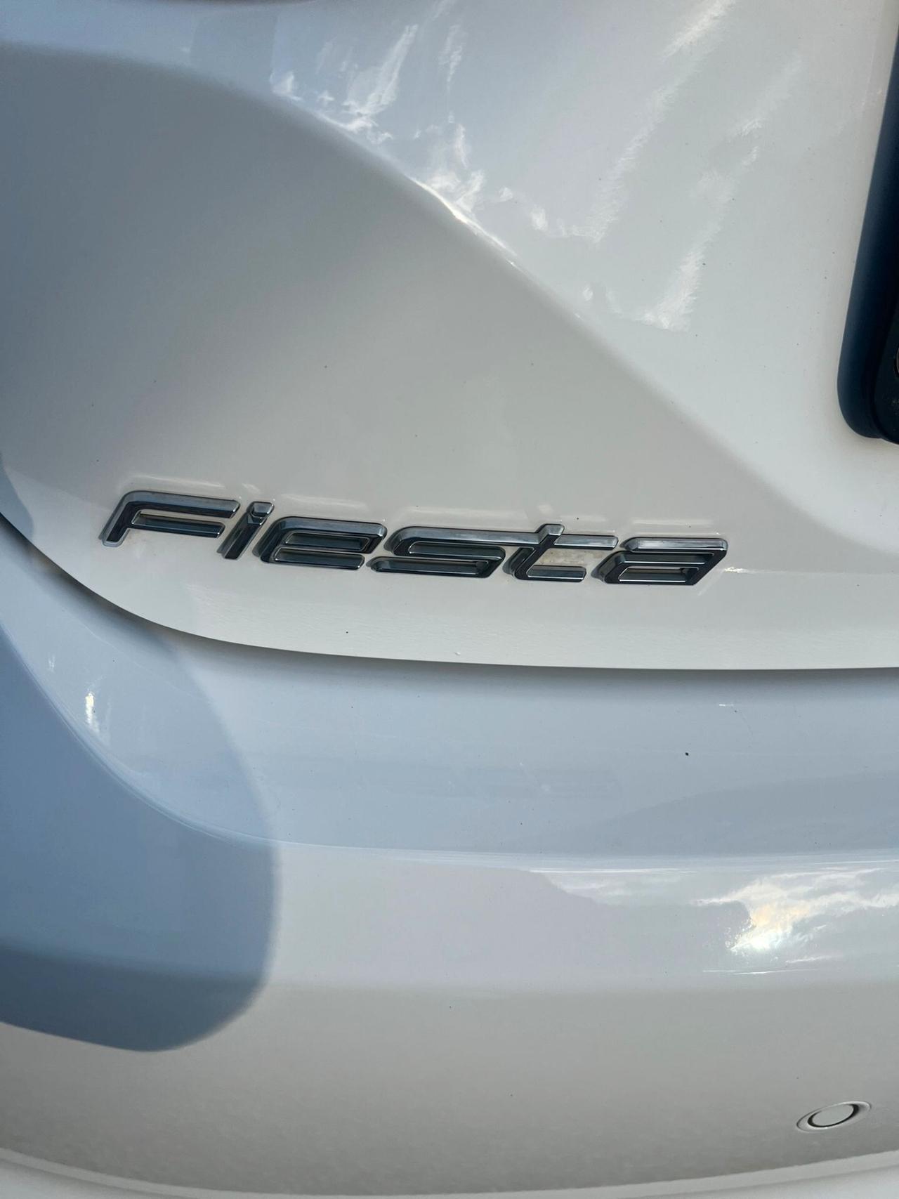 Ford Fiesta 1.5 EcoBlue 5 porte Titanium