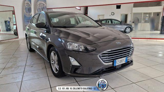 FORD Focus 1.5 EcoBlue 120 CV 5p. Business