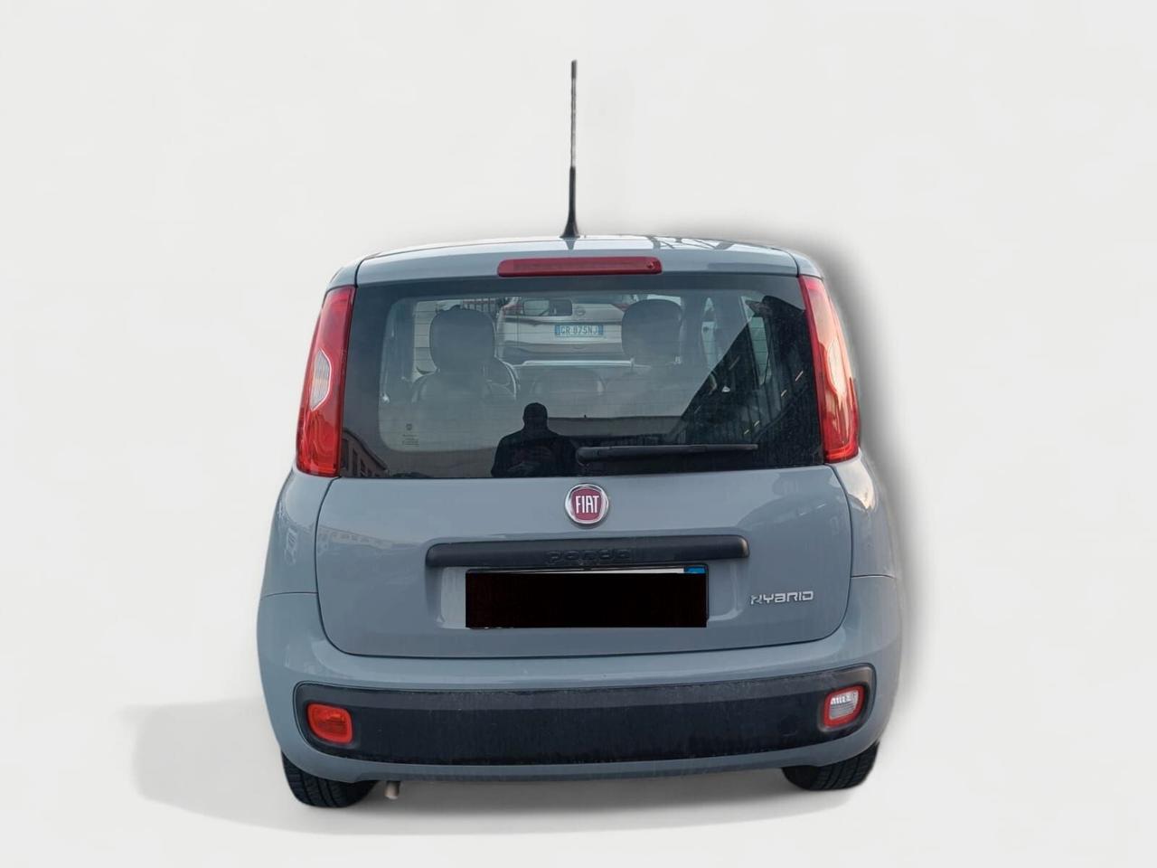 Fiat Panda 1.0 FireFly Hybrid 70cv S&S