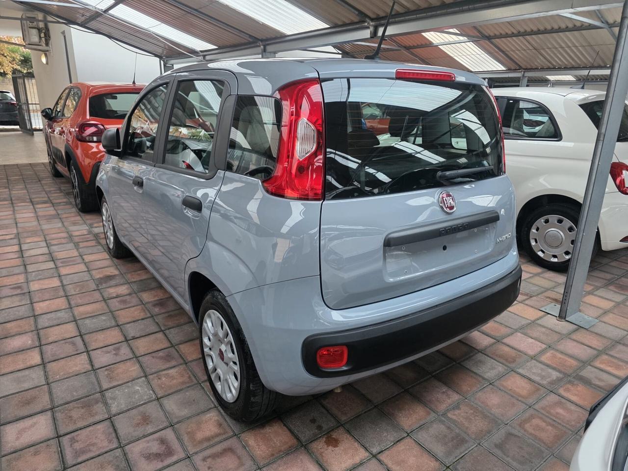 AUTO IN ARRIVO Fiat Panda 1.0 FireFly S&S Hybrid