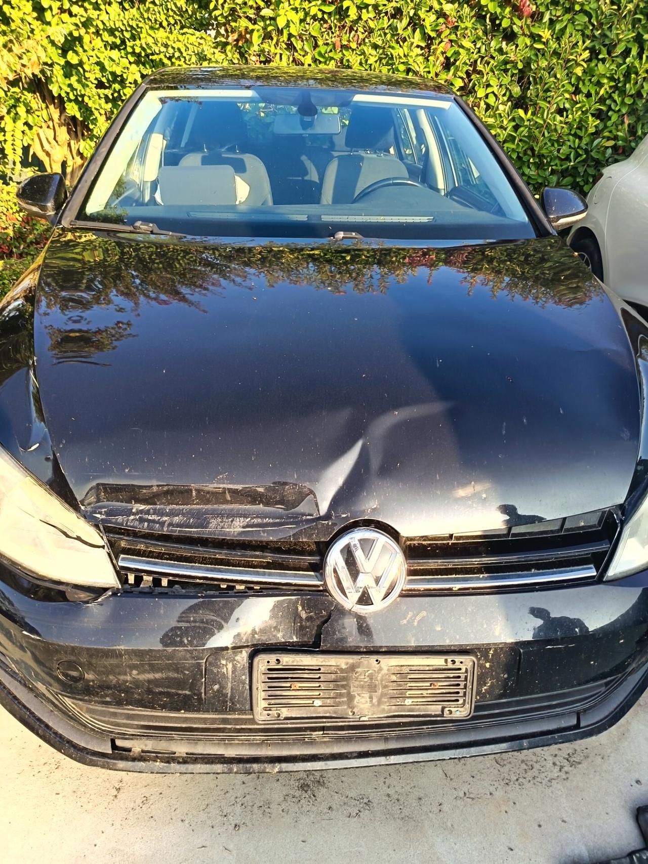 Volkswagen Golf 1.6 TDI 5p. Comfortline BlueMotion Technology