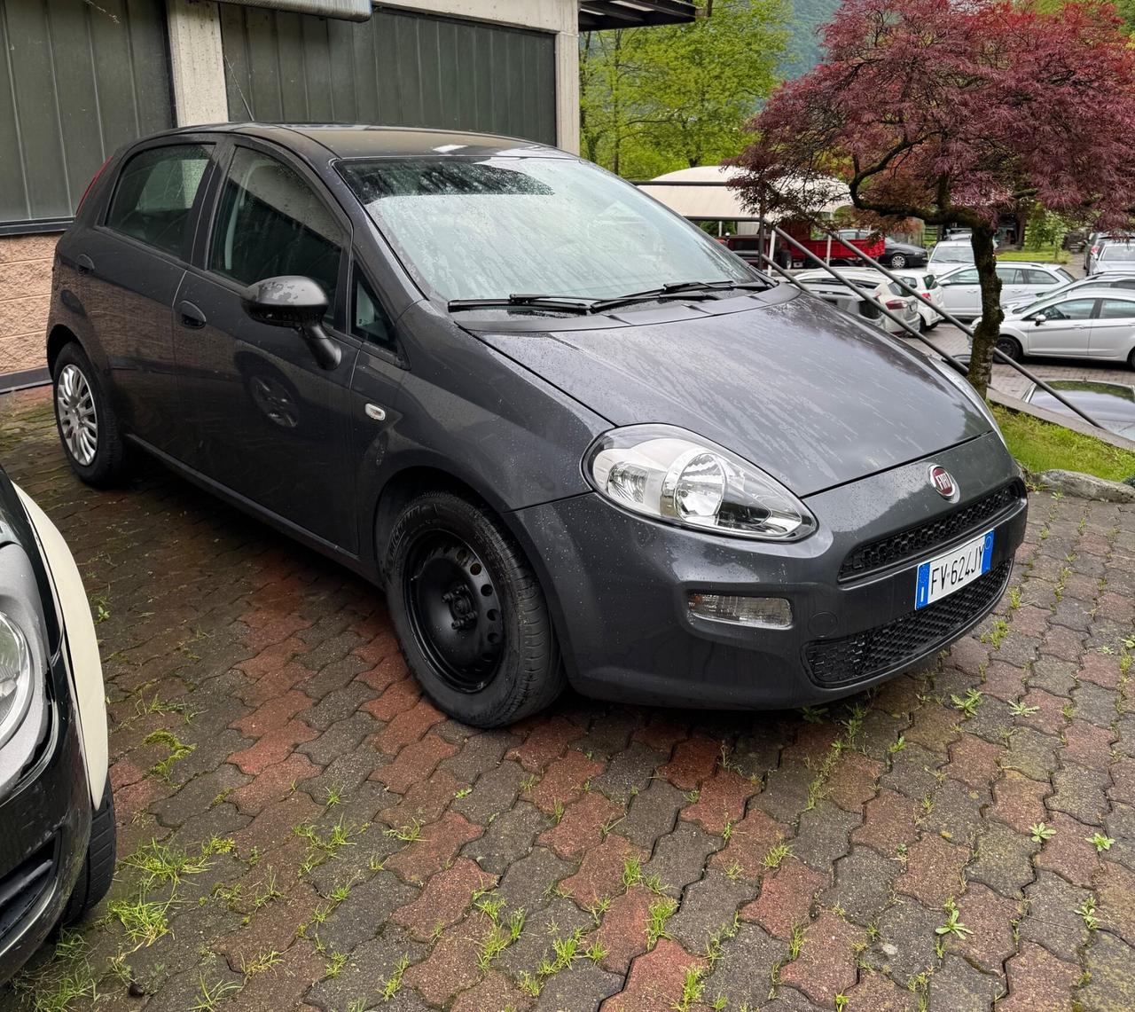 Fiat Punto 1.3 MJT II S&S 95 CV 5 porte Street