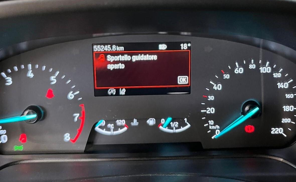 Ford Fiesta 1.0 Ecoboost Hybrid 125 CV 5 porte ST-Line