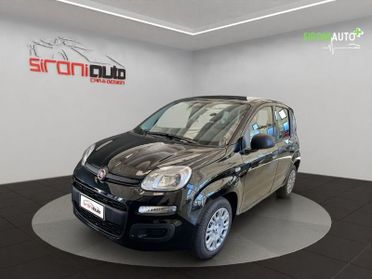 FIAT Panda Panda 1.0 FireFly S&S Hybrid - PROMO SIRONIAUTO+