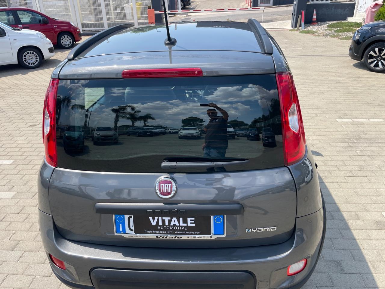 Fiat Panda 1.0 FireFly S&S Hybrid City Life