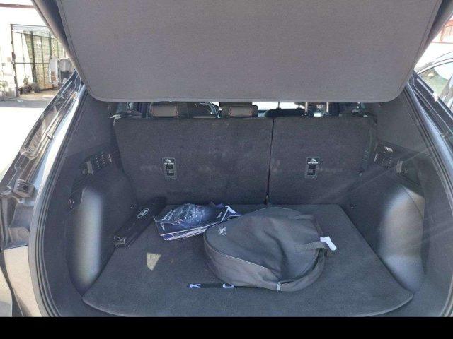 FORD Kuga ST-Line X 2.5 Plug In (HF55) Aut. 2WD 243CV Tetto
