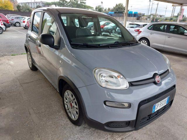 FIAT Panda 1.0 FireFly S&S Hybrid Uniprò km 77000 Fatturab.