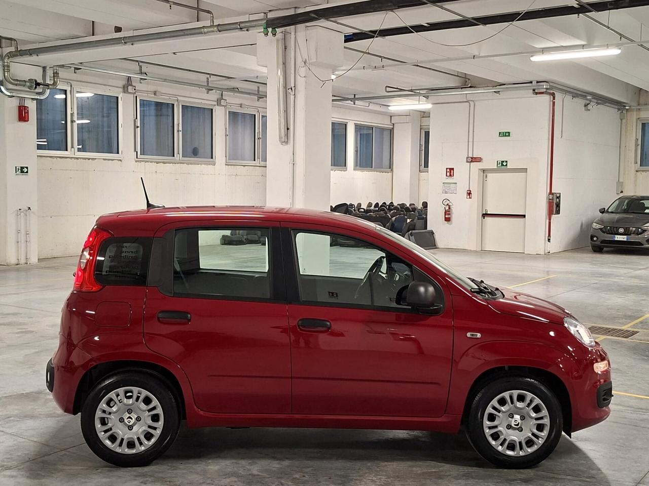 Fiat Panda 1.0 FireFly Hybrid 70CV Icon Km.0 (414)