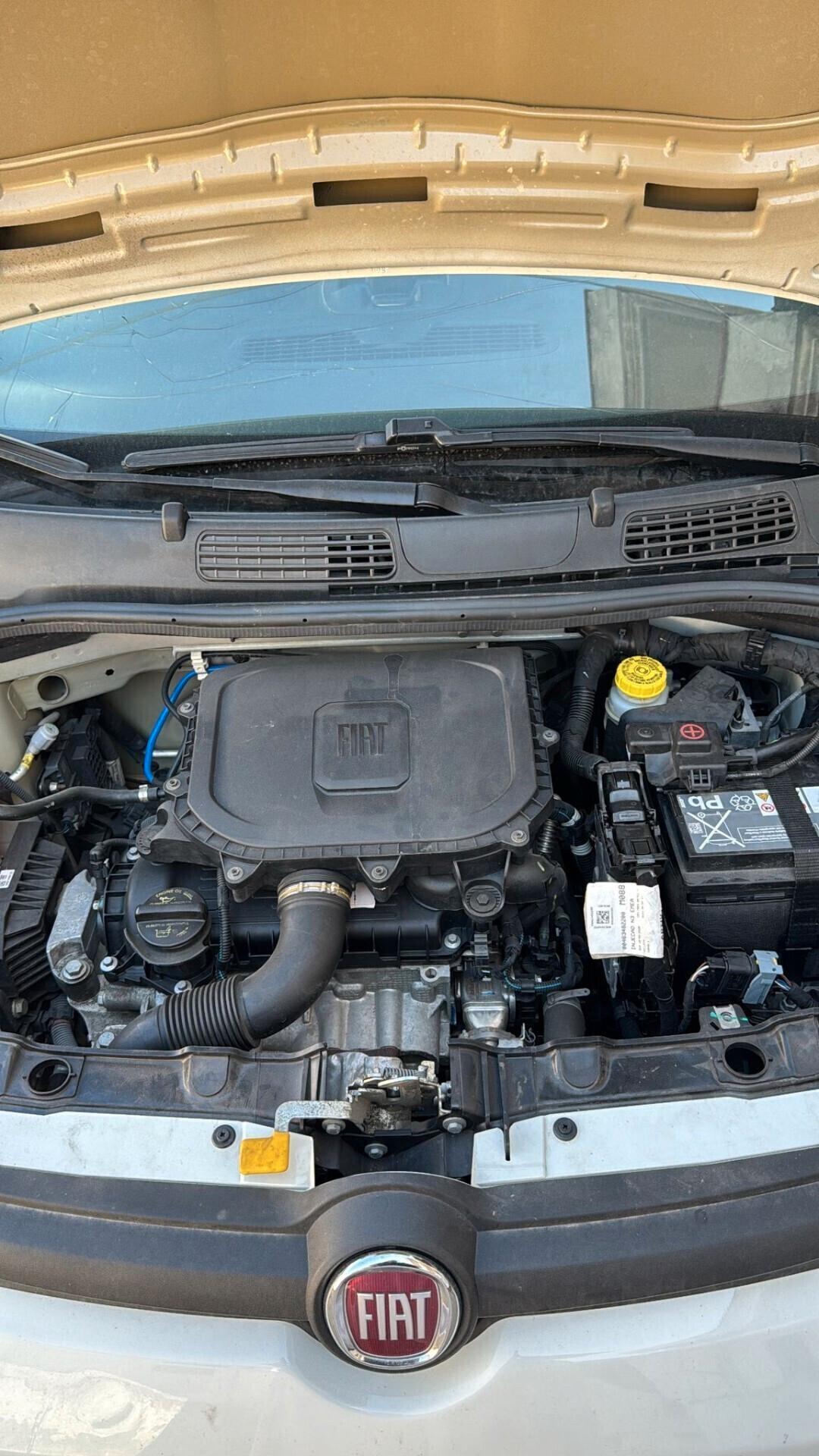 Fiat Panda 1.0 FireFly S&S Hybrid Elettrica - Benzina