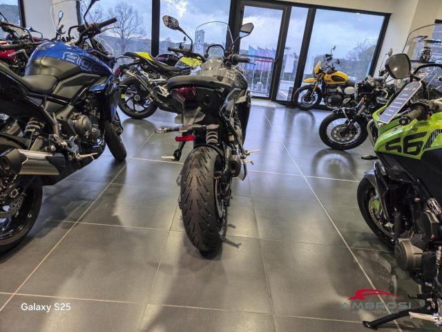 TRIUMPH Tiger Sport 800