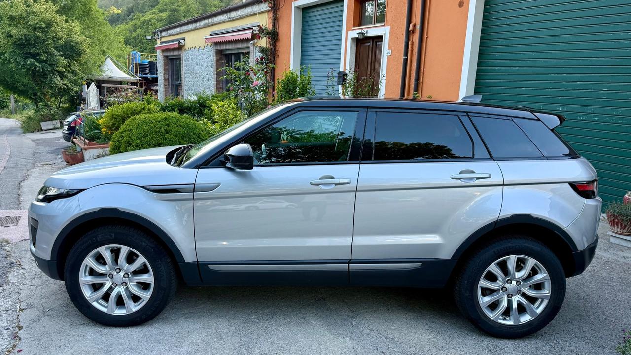 Land Rover Range Evoque 2.0 TD4 150 CV 5p. SE
