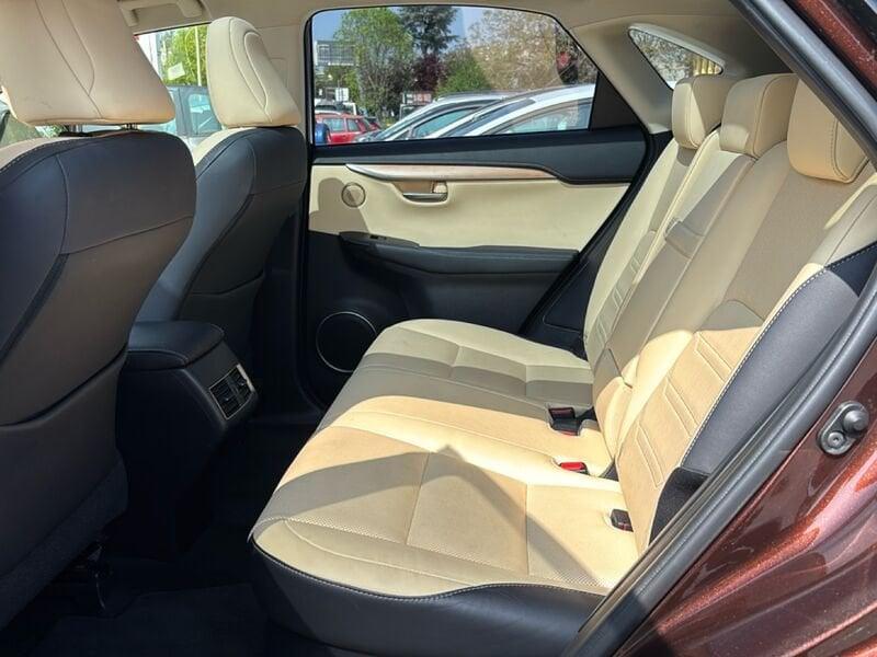 Lexus NX NX 300h 2.5 Luxury 4wd cvt