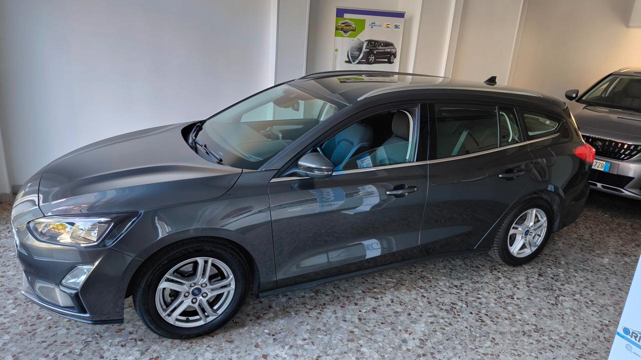 Ford Focus 1.5 EcoBlue 120 CV automatico SW Active V Co-Pilot