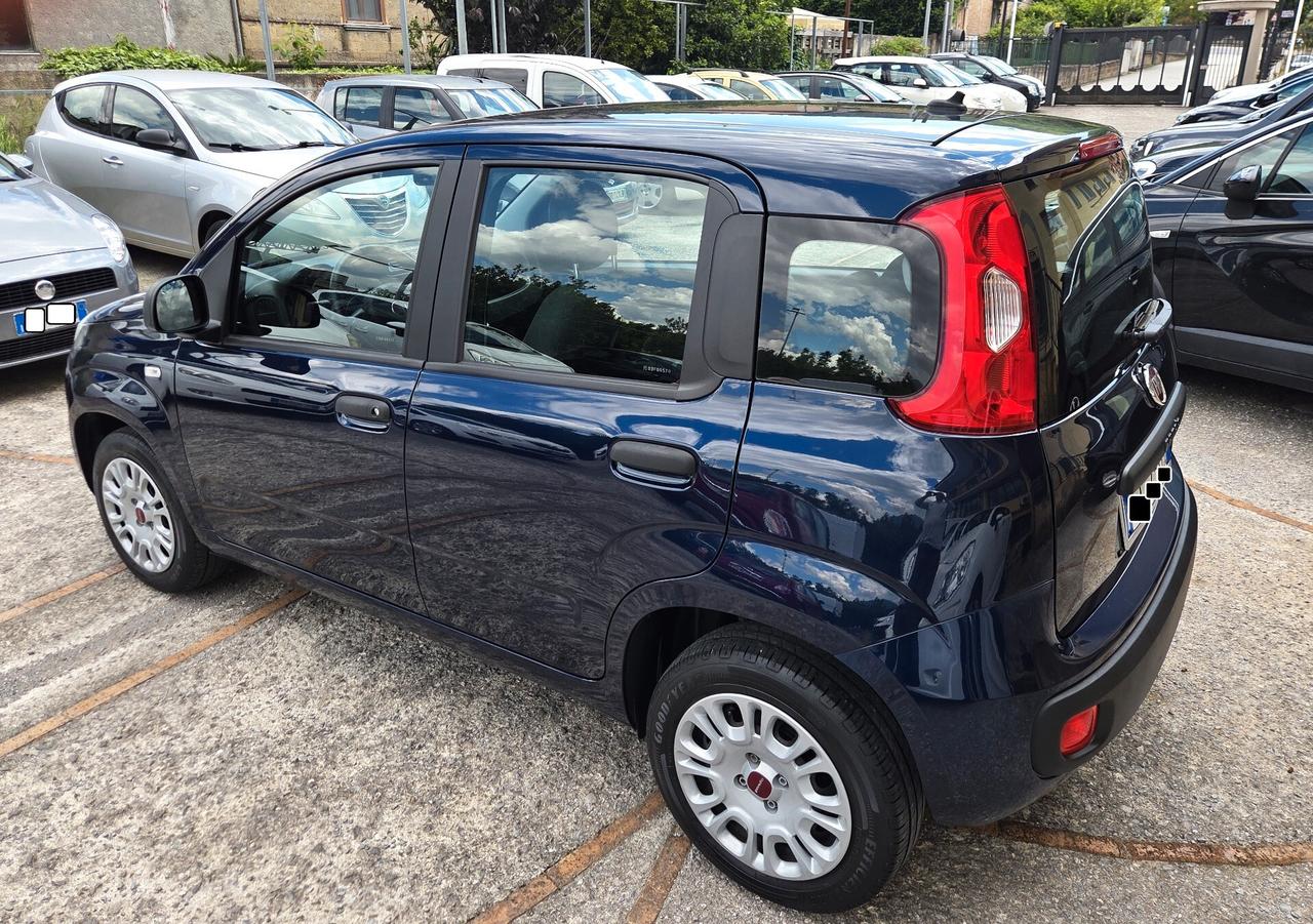 Fiat Panda 1.2 SOLO 34000 KM 5 POSTI GARANZIA