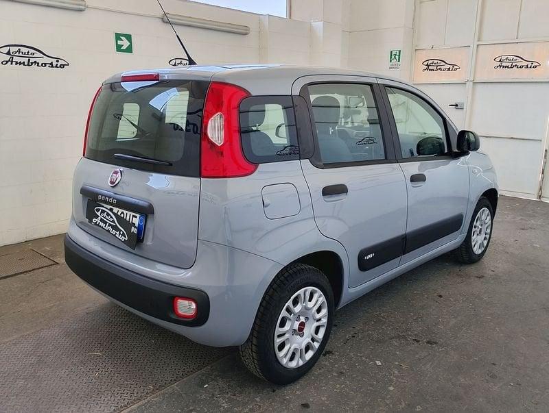 FIAT Panda 1.2 Lounge TUA DA 110,00 EURO AL MESE