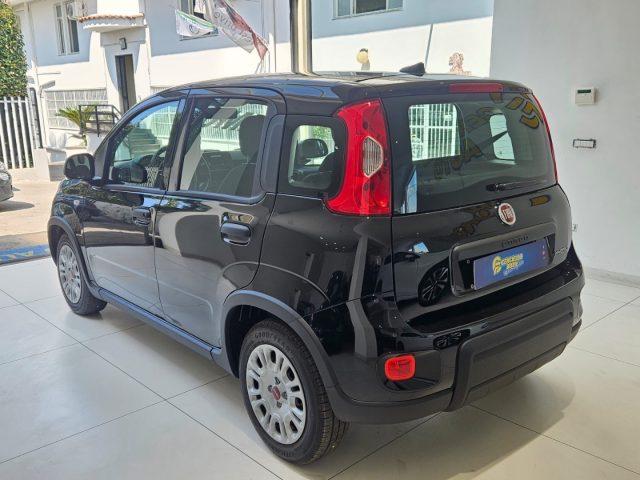 FIAT Panda 1.0 FireFly S&S Hybrid tua da ?139,00 mensili