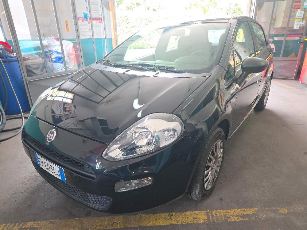 Fiat Punto 1.2 8V 5 porte Street