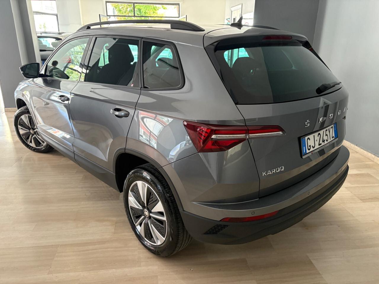 Skoda Karoq 2.0 TDI EVO SCR 115 CV DSG Executive