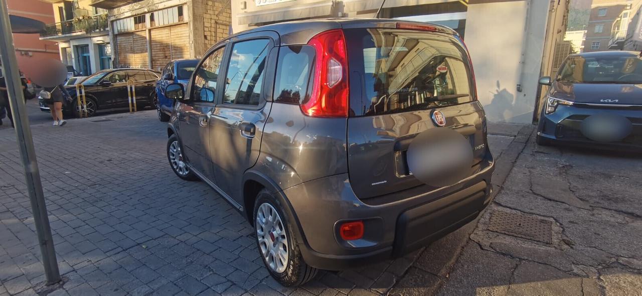 Fiat Panda 1.0 FireFly Hybrid City Life 2022 USATO
