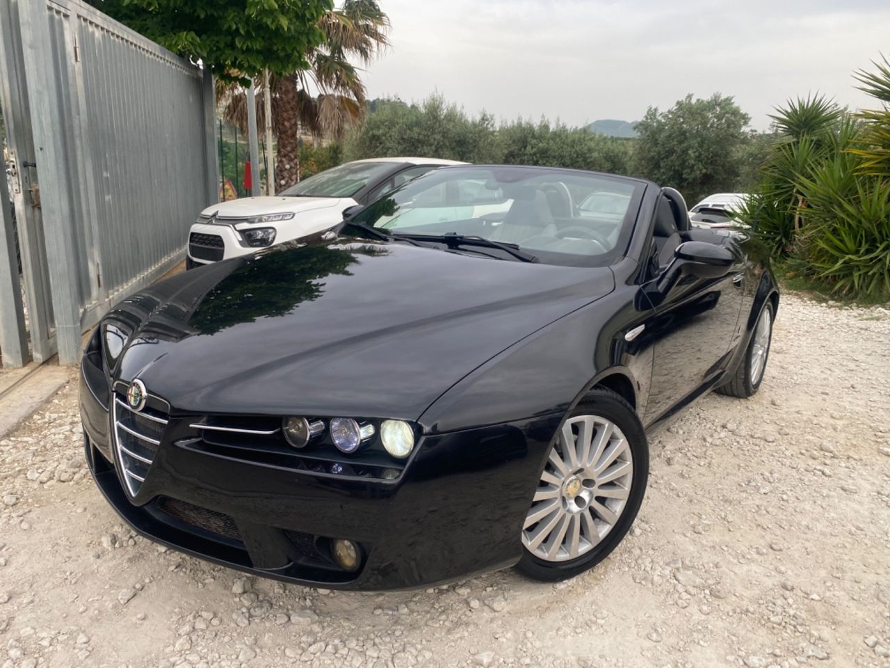 Alfa Romeo Spider 2.2 JTS 185cv EXCLUSIVE PELLE/XENO2008