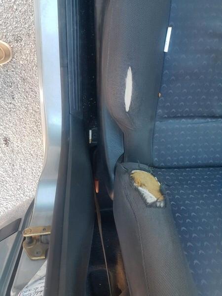 Ford Focus 1.8 TDCi 100CV 5p. Zetec