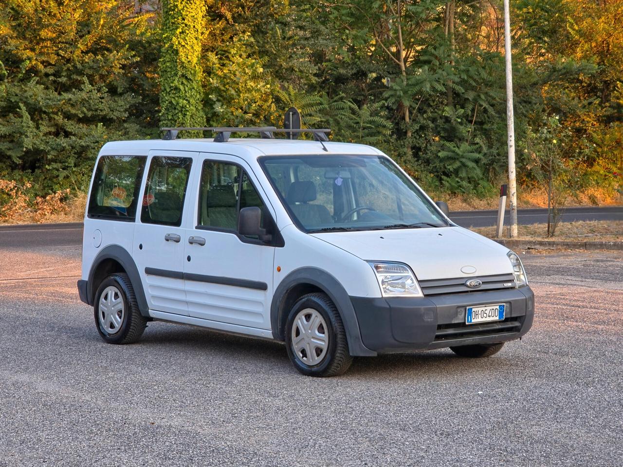 Ford Transit Connect Transit Connect 200S 1.8 TDCi/75CV PC-TN 2007-E4 Manuale NEO