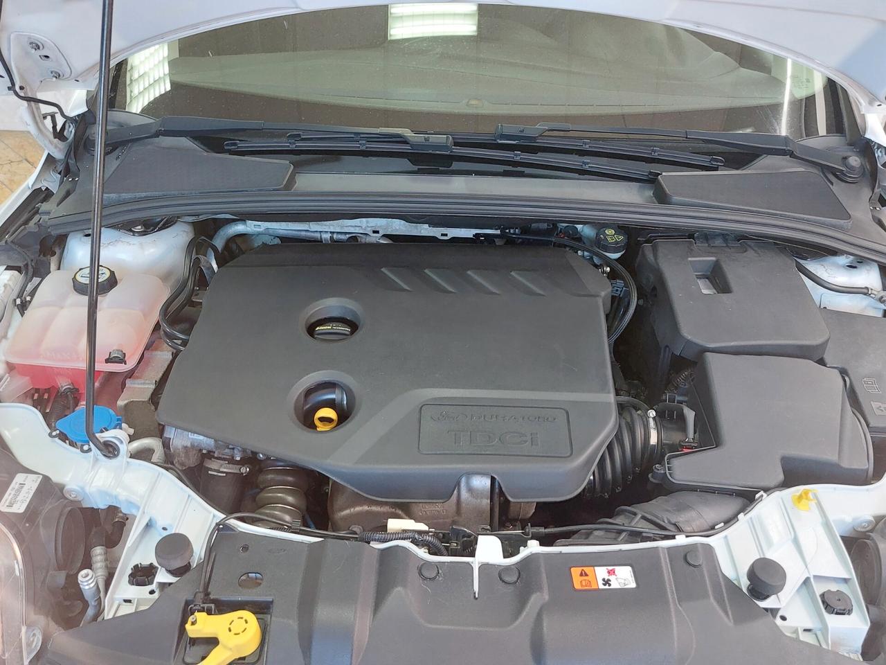 Ford Focus 1.6 TDCi 115 CV SW Titanium 2013