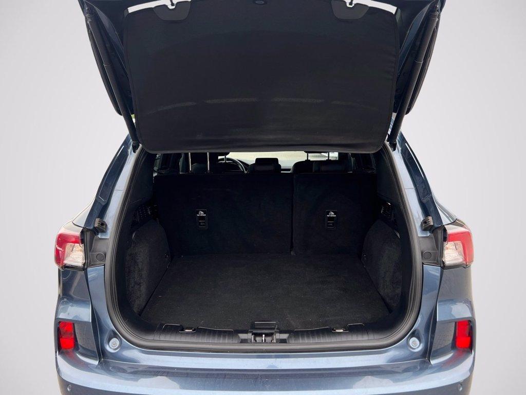 FORD Kuga 1.5 EcoBlue 120 CV aut. 2WD ST-Line X del 2022