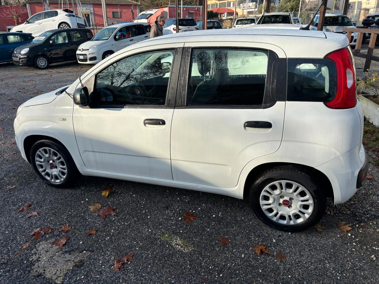 Fiat Panda 1.2 EasyPower Easy