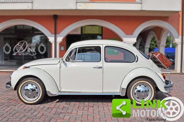 VOLKSWAGEN Maggiolino 11/D11