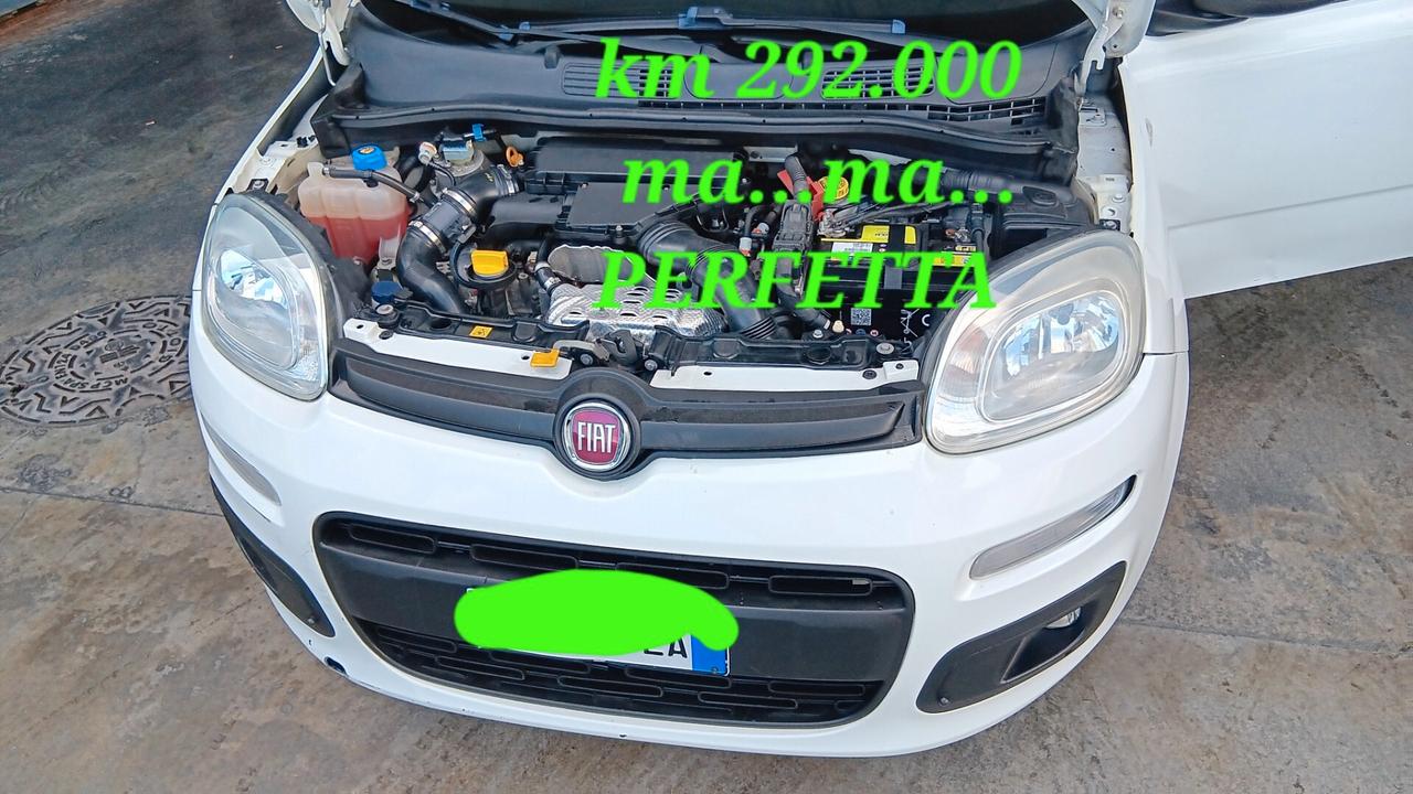 Fiat Panda VAN USATO PERFETTO MONDIALCARS