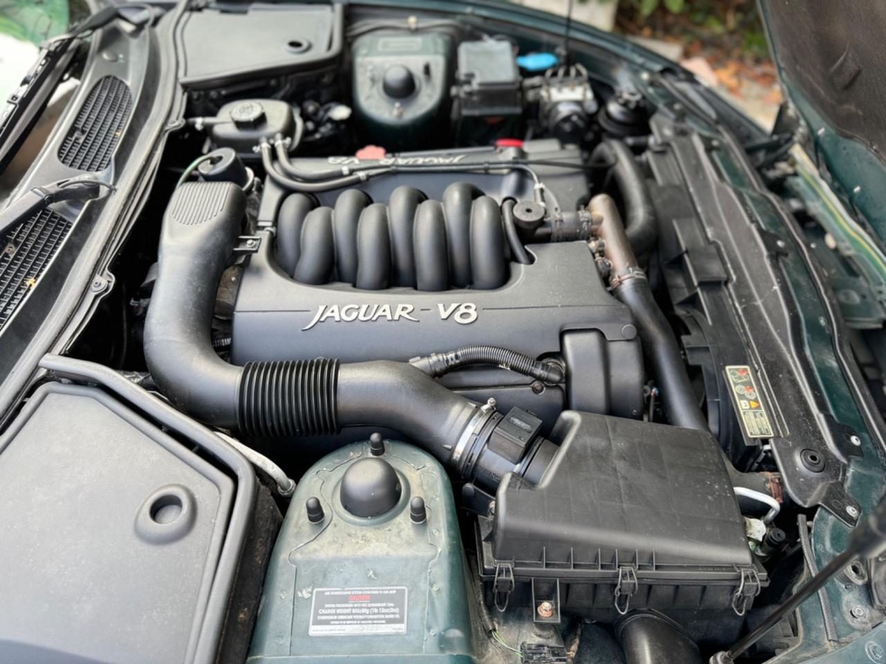Jaguar XK8 - 4.0 V8 - Verde su Verde
