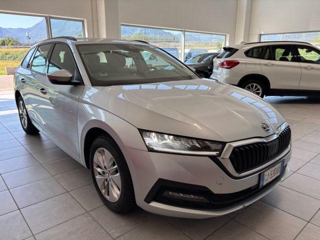 SKODA Octavia 2.0 TDI EVO SCR 150 CV DSG Executive