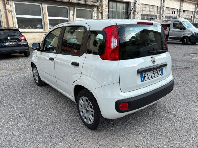 FIAT Panda 1.2 BERLINA ADATTA A NEOPATENTATI