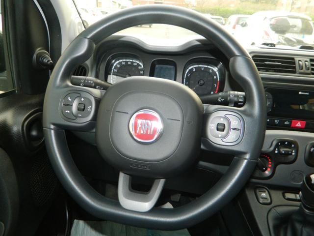 FIAT Panda 1.0 Hybrid 70CV 5POSTI - UNIPRO TAGLIANDATA