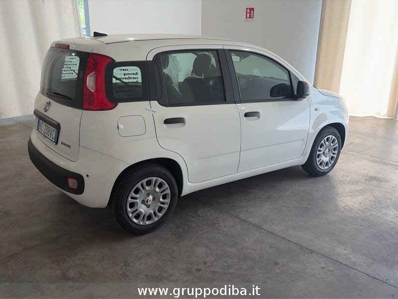 FIAT Pandina 1PA My26 1.0 65cv Hybrid Icon