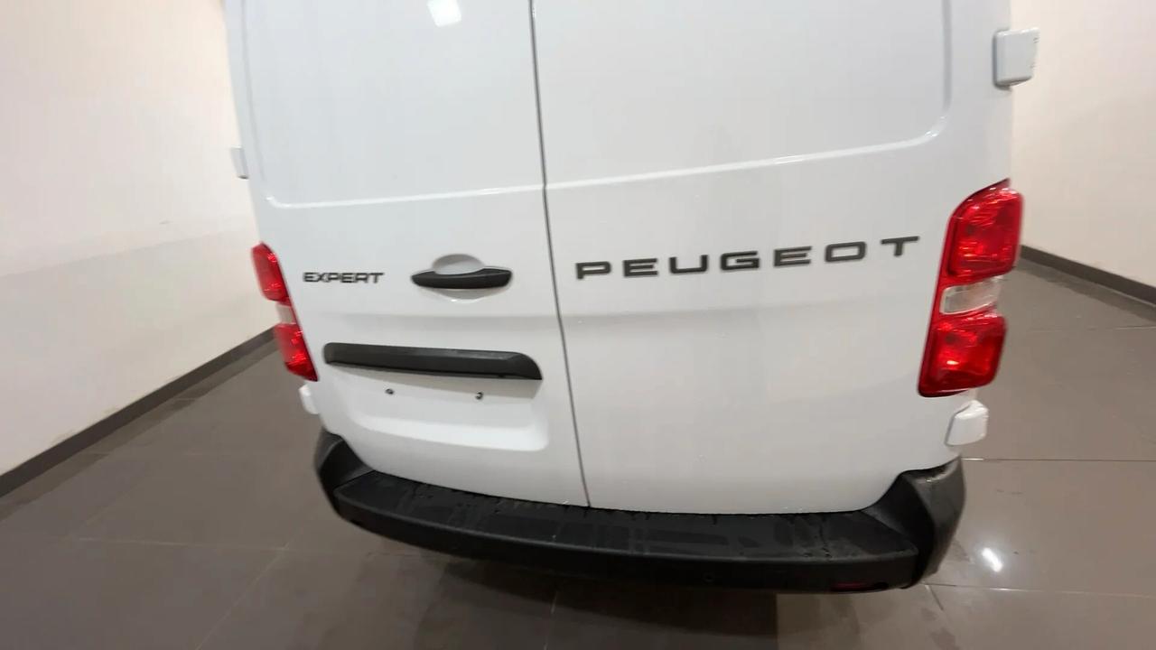 Peugeot Expert 1.5 BlueHDi 120 S&S PL-TN Furgone Standard