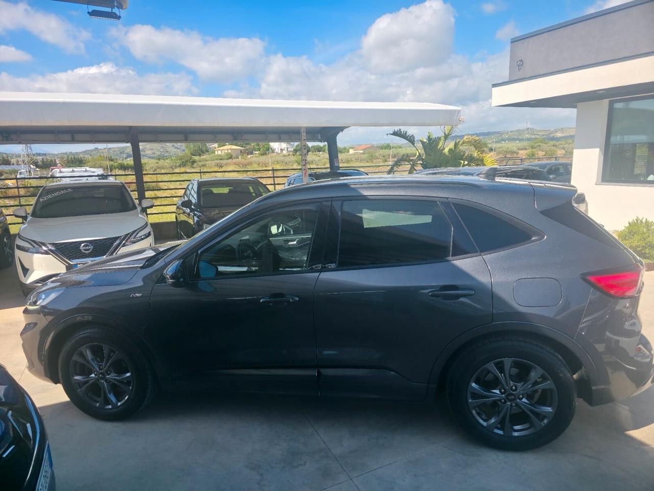 Ford Kuga 1.5 EcoBlue 120 CV 2WD ST-Line