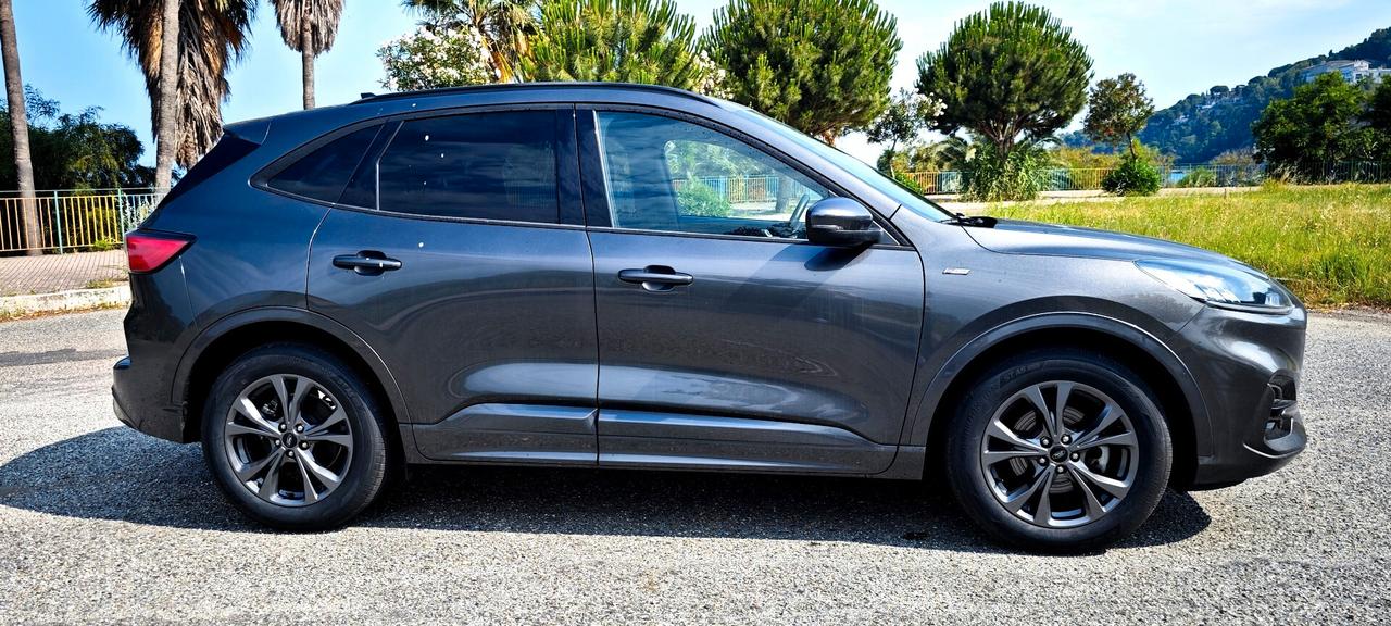 Ford Kuga 2.0 EcoBlue 120 CV aut. 2WD ST-Line