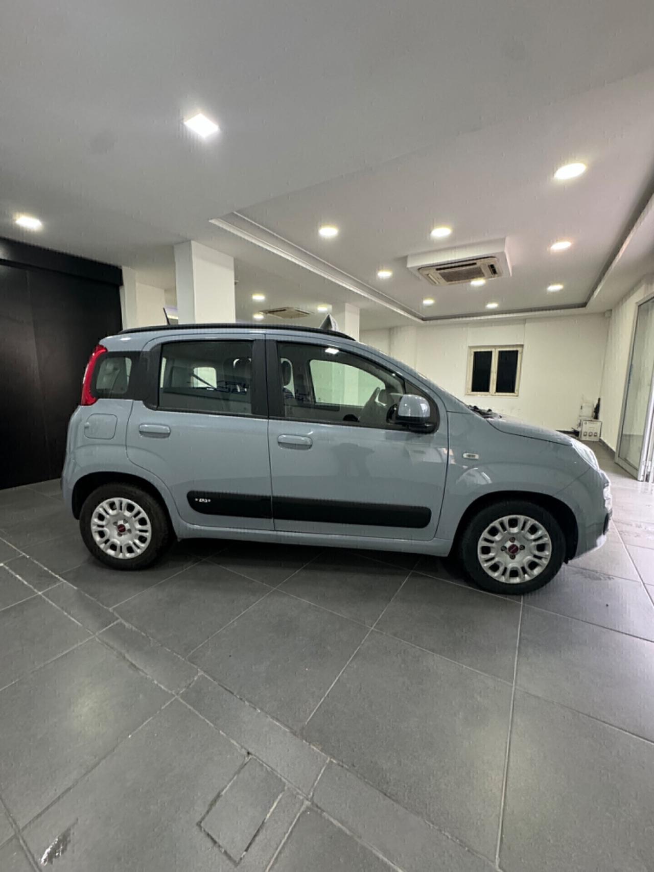 Fiat Panda 1.0 FIREFLY S&S HYBRID PER NEOPATENTATI