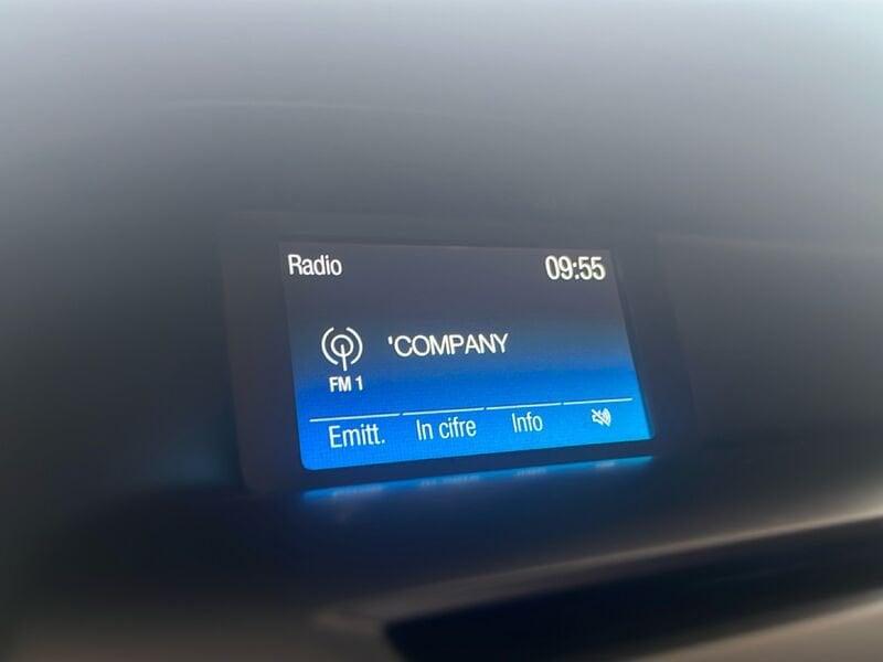 Ford Focus 1.0 EcoBoost 125cv S&S Tit. Bus. SW