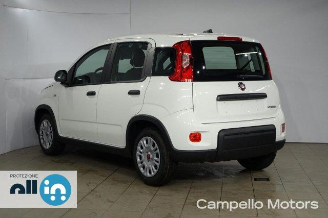 FIAT Panda Panda 1.0 70cv Hybrid Panda My23