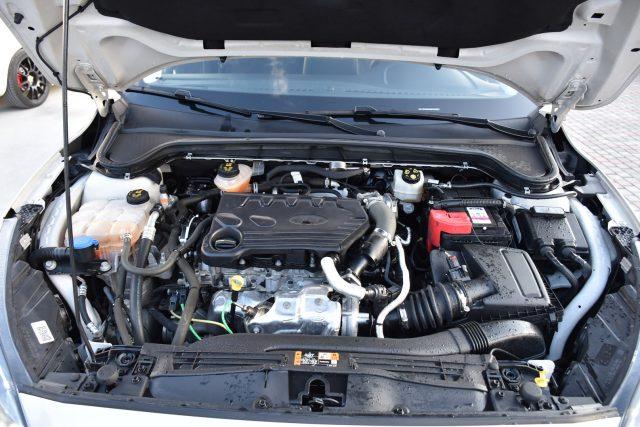 FORD Focus 1.5 EcoBlue 120 CV automatico 5p. Active