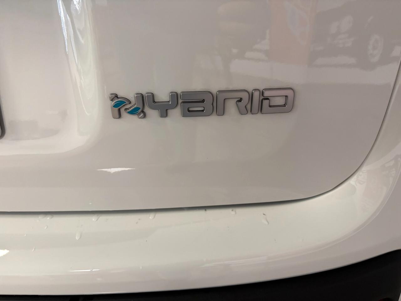 Fiat Panda "La Pandina" 1.0 Hybrid - KMO