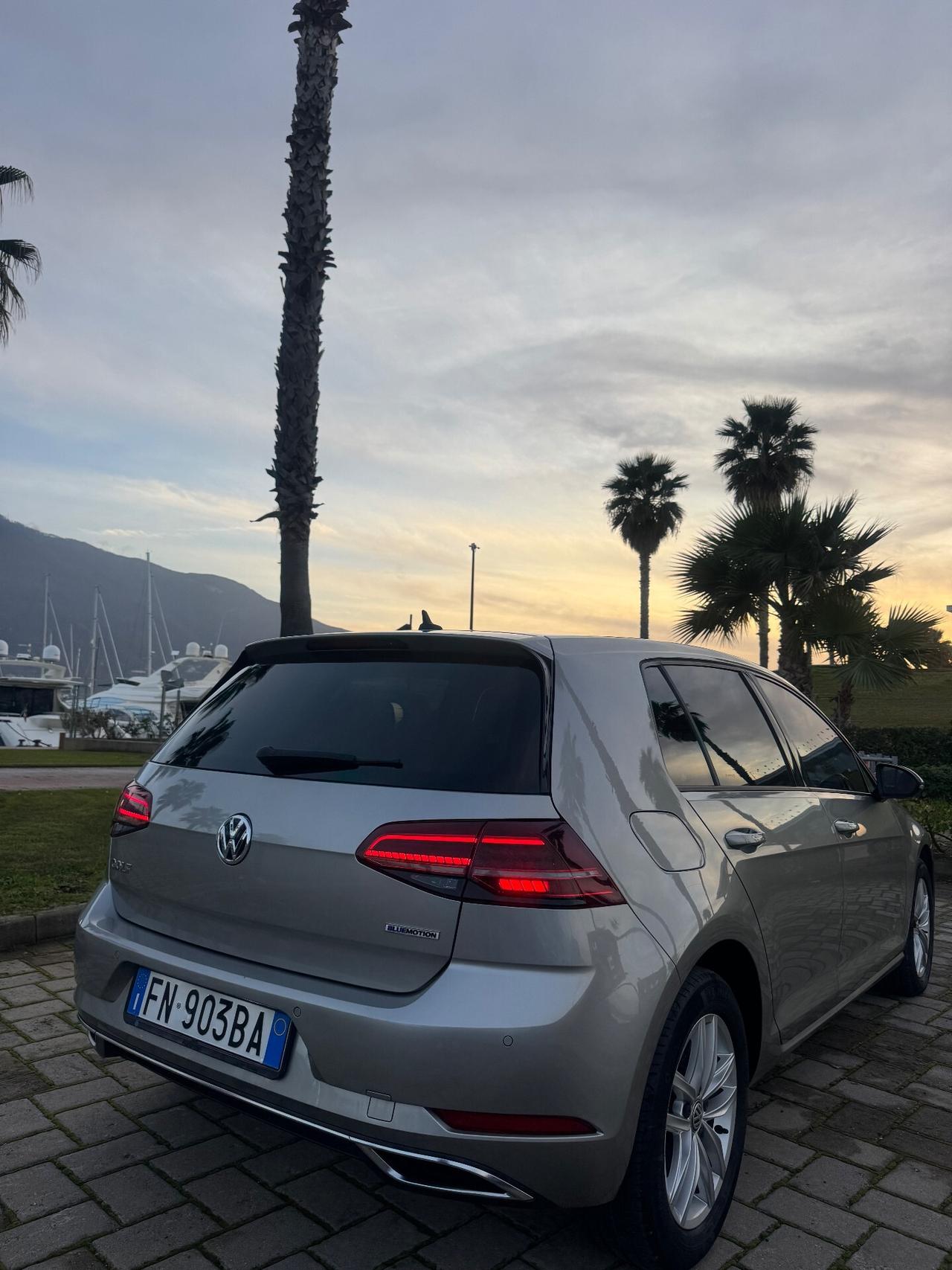 Volkswagen Golf 1.4 TGI 5p. Highline BlueMotion