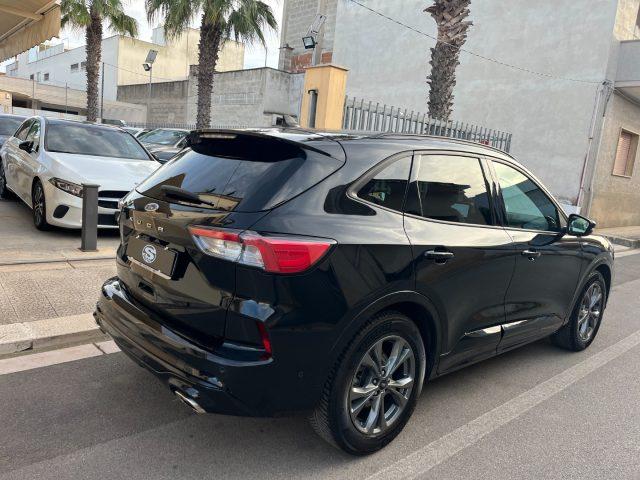 FORD Kuga 1.5 EcoBlue 120CV Aut. ST-Line X