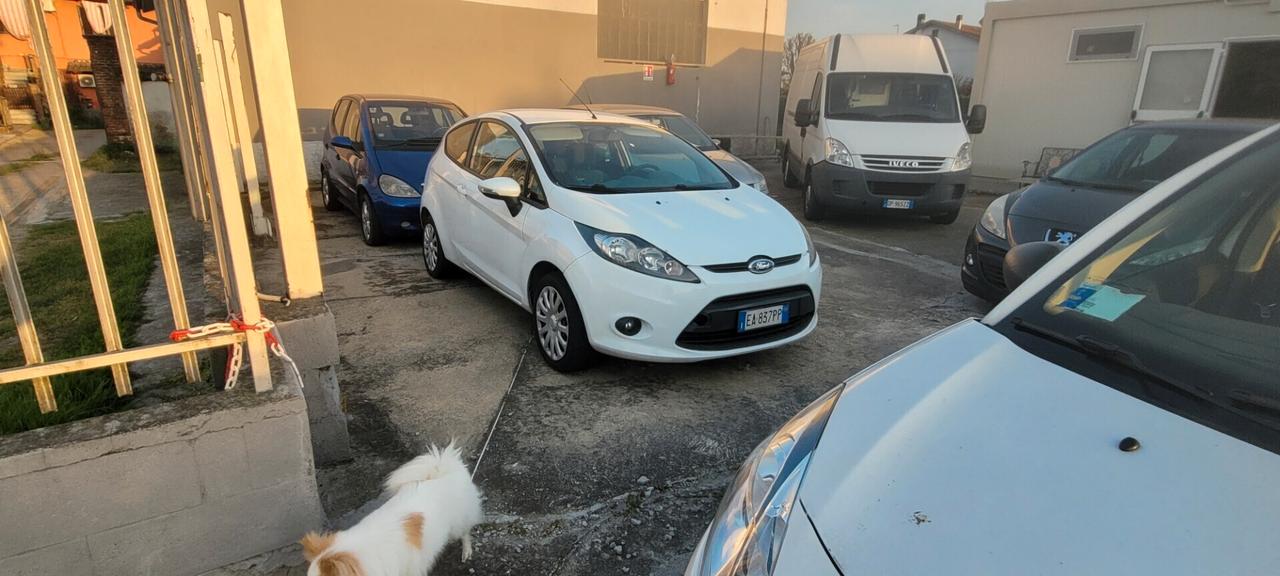 Ford Fiesta NEOPATENTATA UNICO PROPRIETARIO 1.2 60CV 3p. Tit.