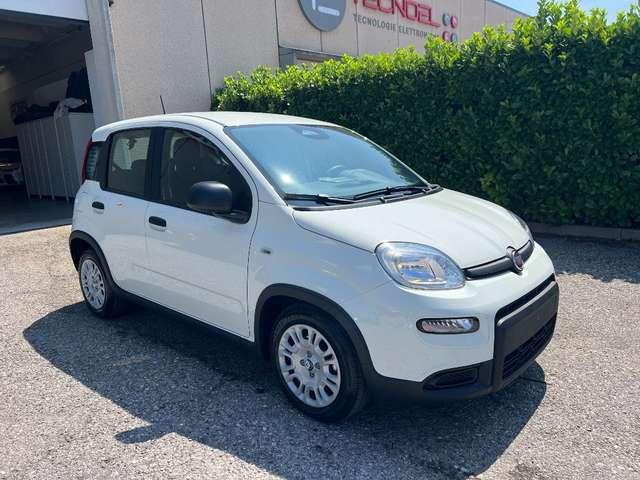 Fiat Panda 1.0 FireFly S&S Hybrid Pandina